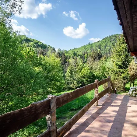 Apartment Roubenka Muštelka